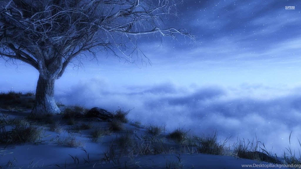 Winter Night Snowy High Definition Wallpapers 3998   HD Wallpapers ...