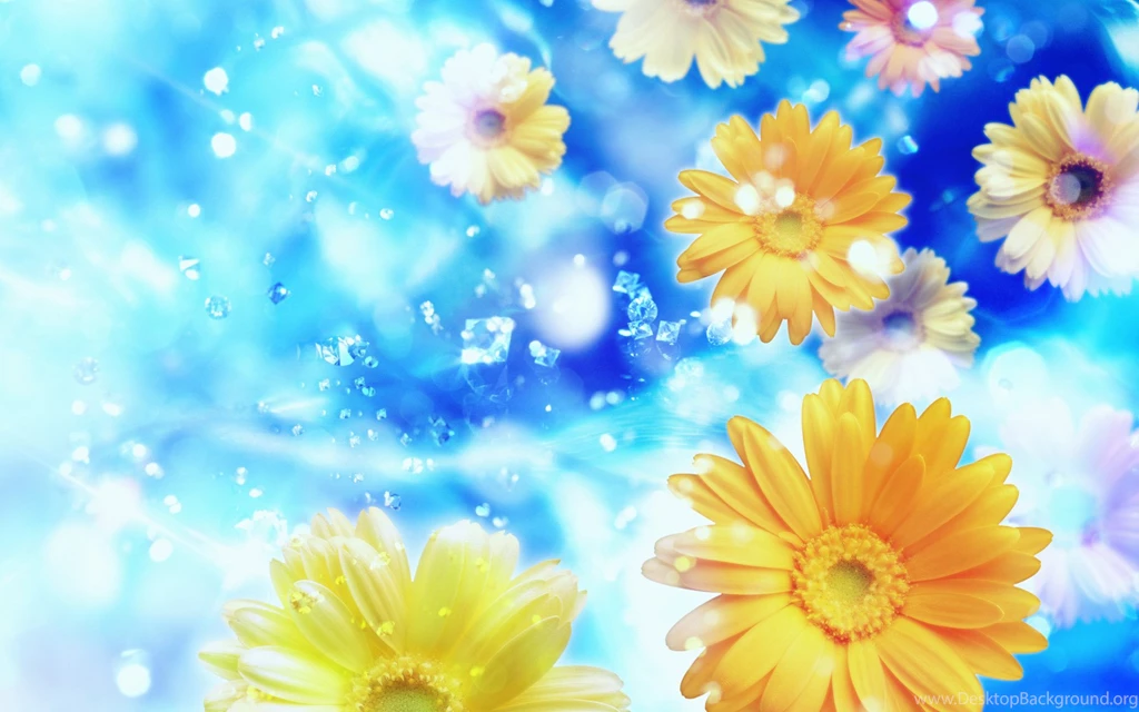 Flowers Planets Beautiful Flowers Wallpapers For Desktop