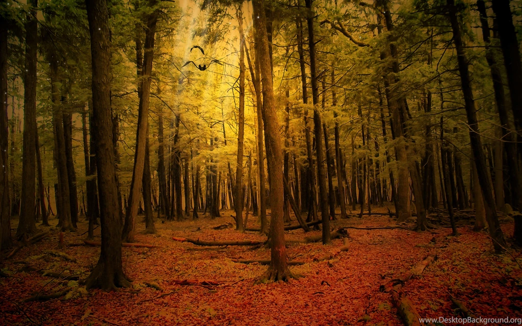 Download Wallpapers 3840x2400 Autumn, Forest, Landscape Ultra HD 4K ...