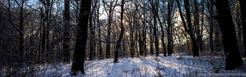 Download Wallpapers 3840x1200 Winter, Forest, Landscape Dual Wide ...