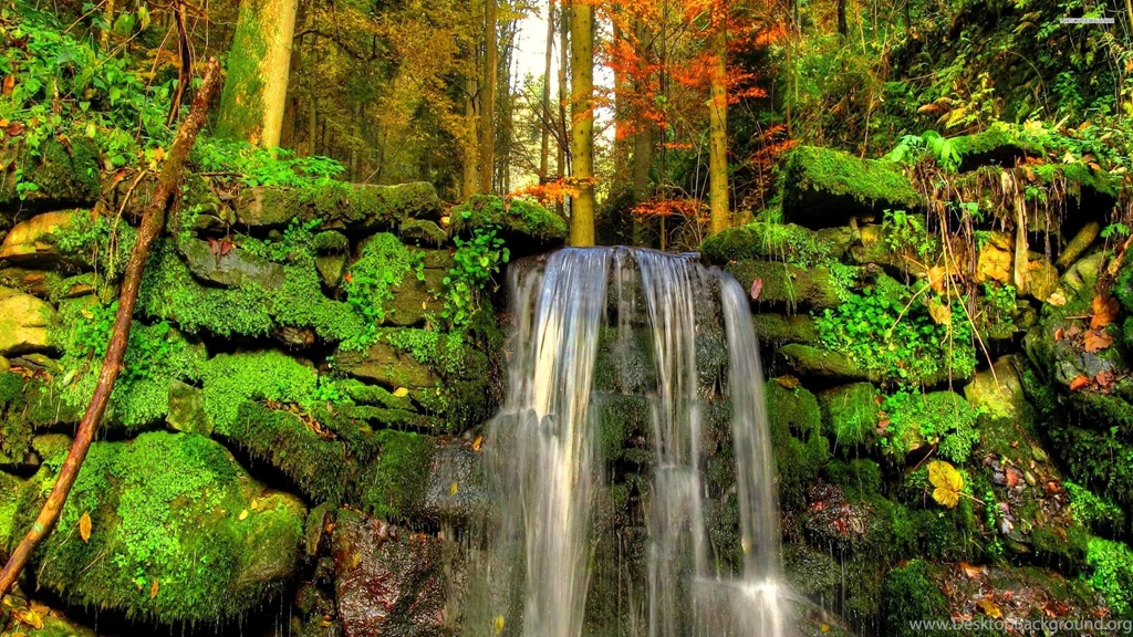 Small Waterfall In The Summer Forest Wallpapers