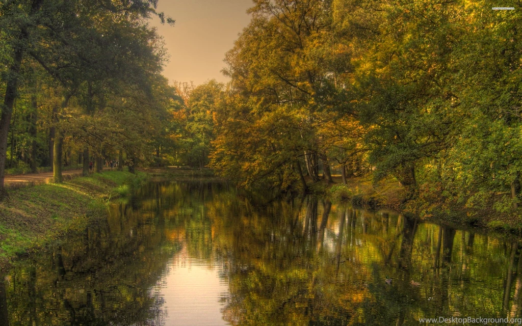 Green River In The Summer Forest Wallpapers