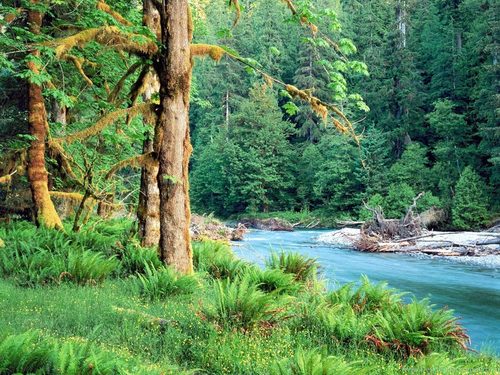 River Wallpapers   649425