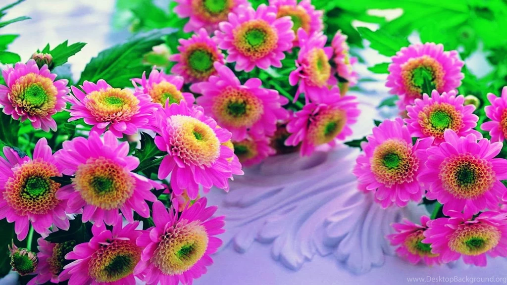 Pink Flowers Beautiful HD Wallpaper.jpg