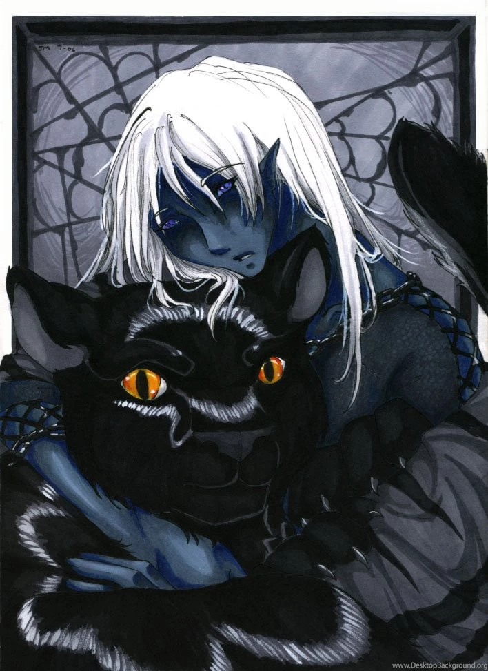 Home Design Ideas: Drizzt Dourden Wallpapers