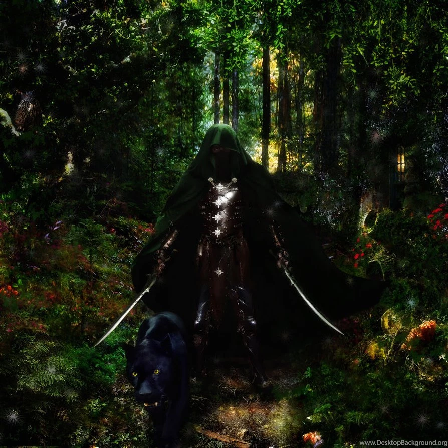 Drizzt Do Urden And Guenhwyvar By Zaratra On DeviantArt