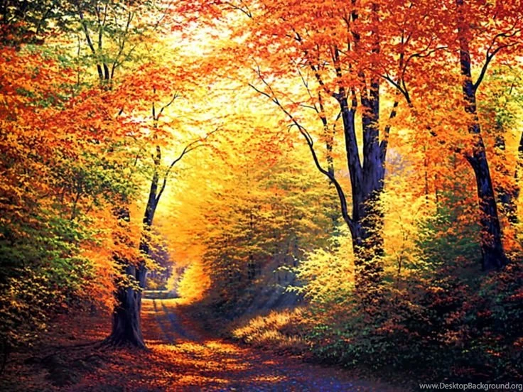 Autumn Wallpapers HD: Free Autumn Wallpapers HD Http://new ...