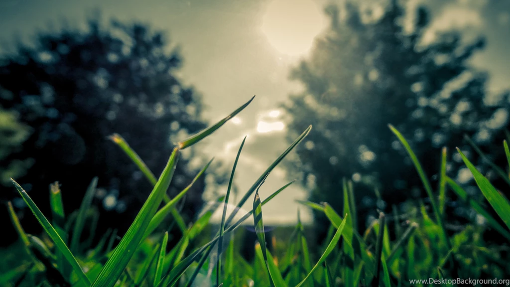 Cute Wallpapers For Iphone 56
