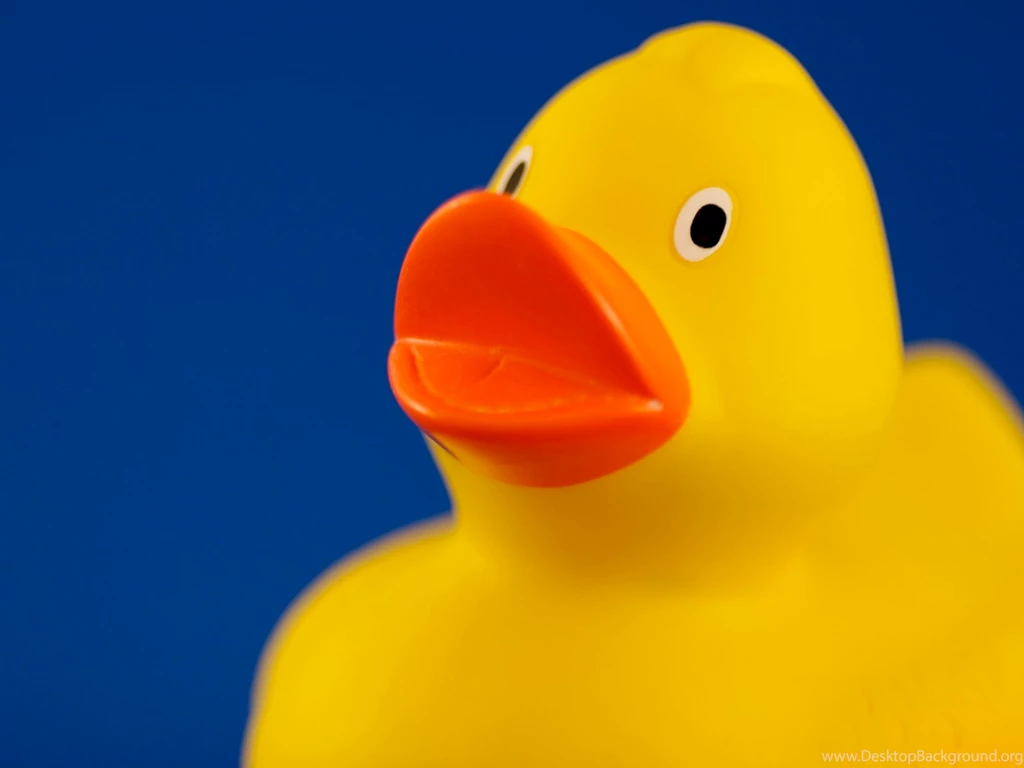 Yellow Duck Wallpapers