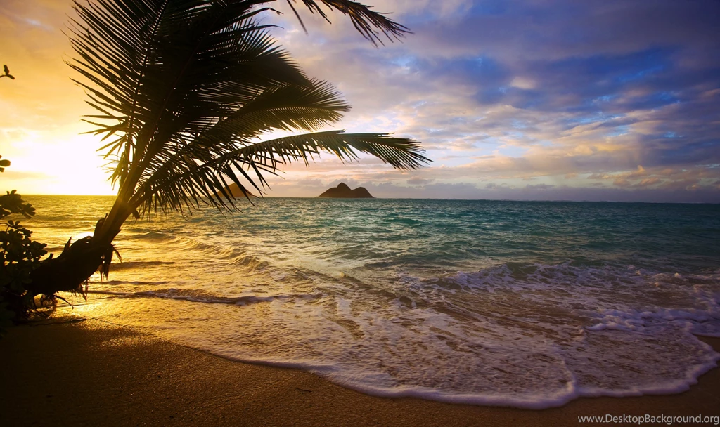 Amazing Nature Wallpapers, Widescreen Images, Amazing Views, Free ...