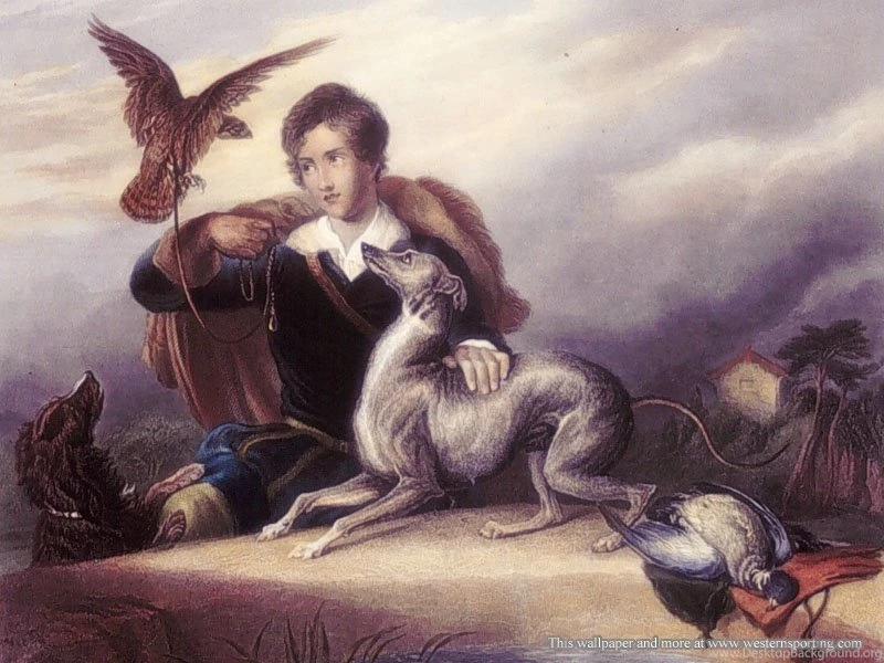 FREE Desktop Wallpapers Western Sporting