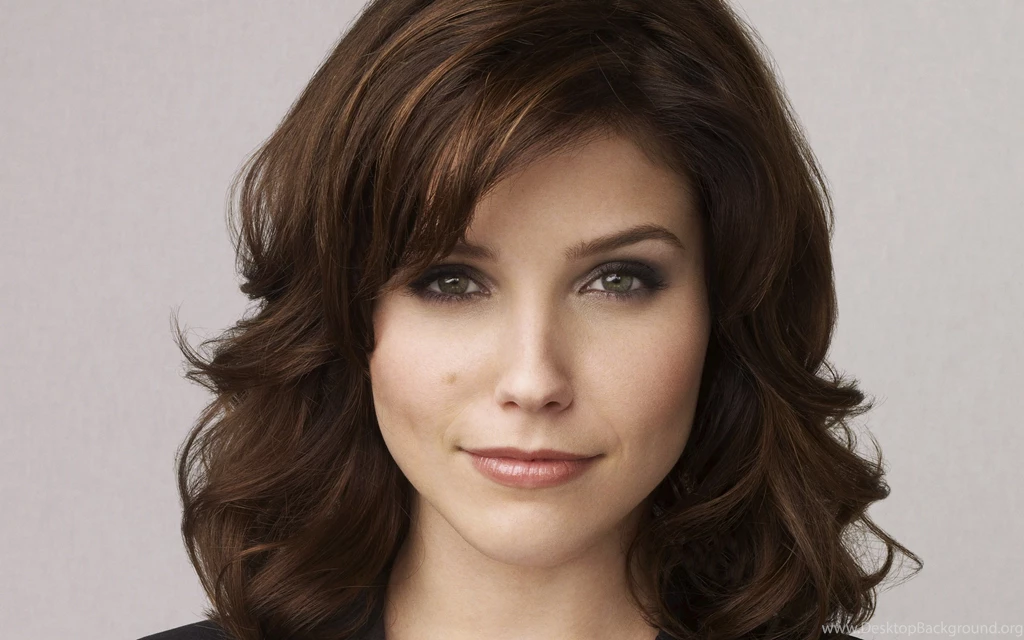 Sophia Bush New Wallpapers