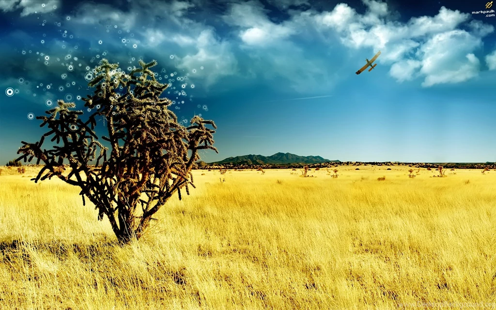 High Resolution Photos Free Pictures 5 HD Wallpapers ...