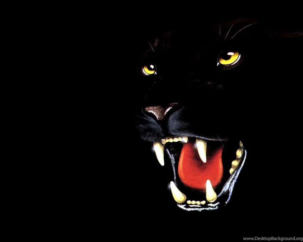 The Greatest Wallpapers