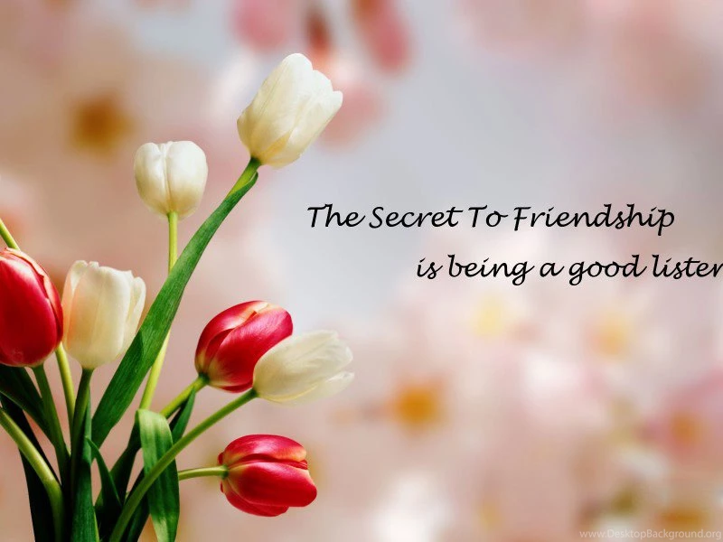 Friendship Wallpapers