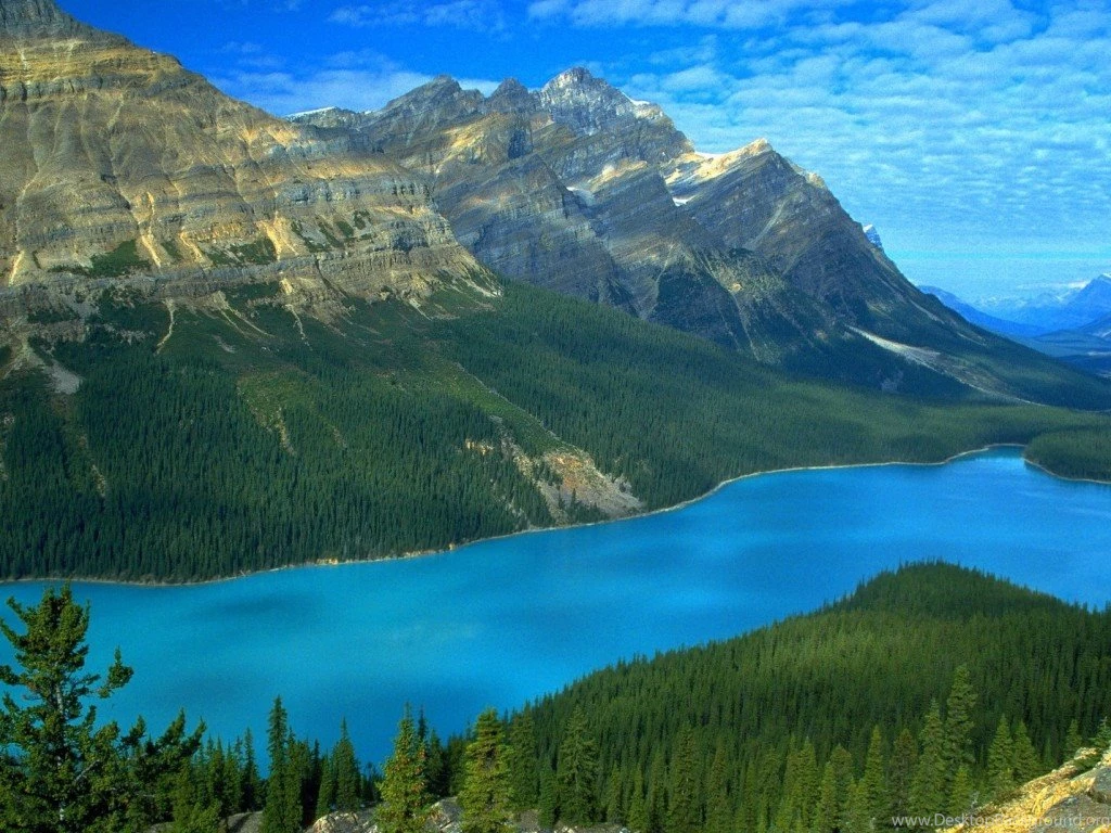 Nature hd wallpapers live wallpaper for mac 1024x768.jpg