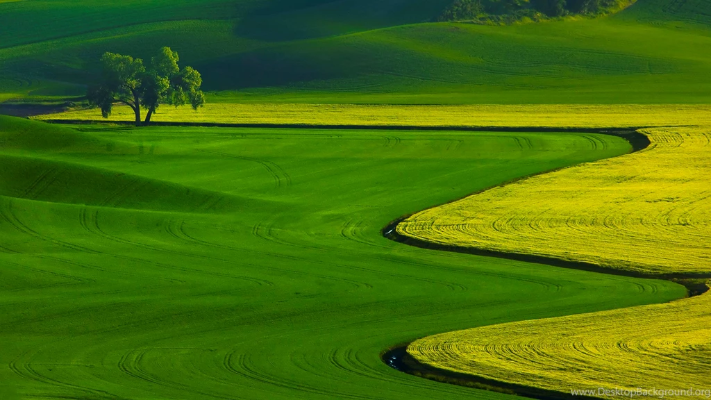 Golf Course