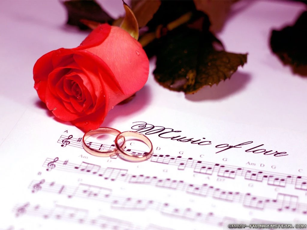 Romantic Rose Wallpapers   Crazy Frankenstein