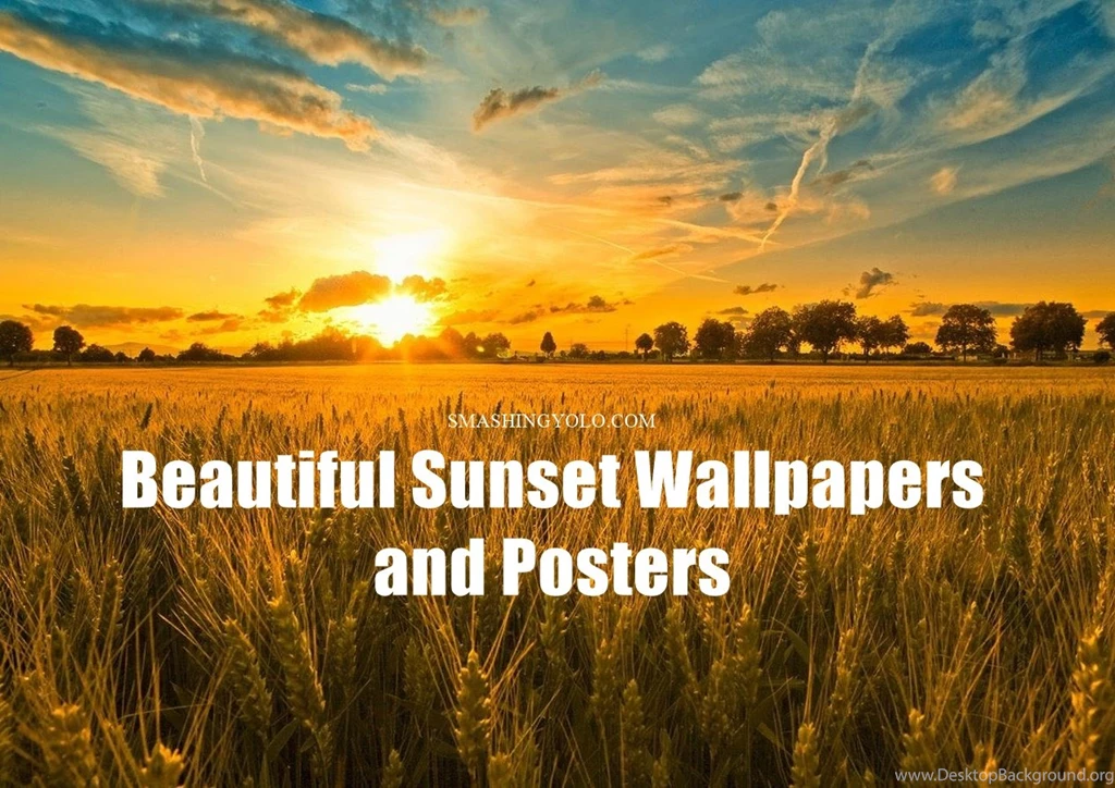 70 Beautiful Sunset Wallpapers And Posters For Free