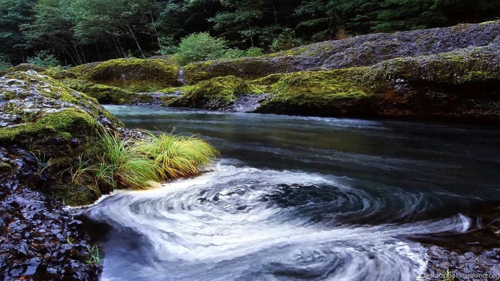 Dreamscene.org   Gallery/Download   Free Dreamscenes, Video Loops ...