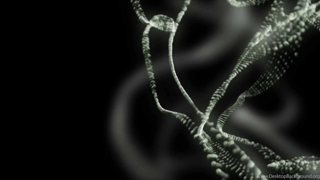 Dreamscene.org Gallery/Download Free Dreamscenes, Video Loops ...