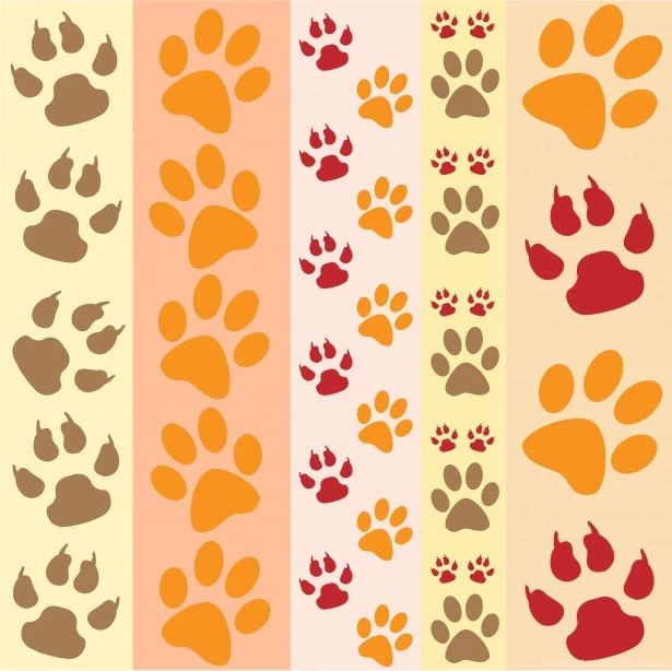 Paw Prints Backgrounds Free Stock Photo   Public Domain Pictures