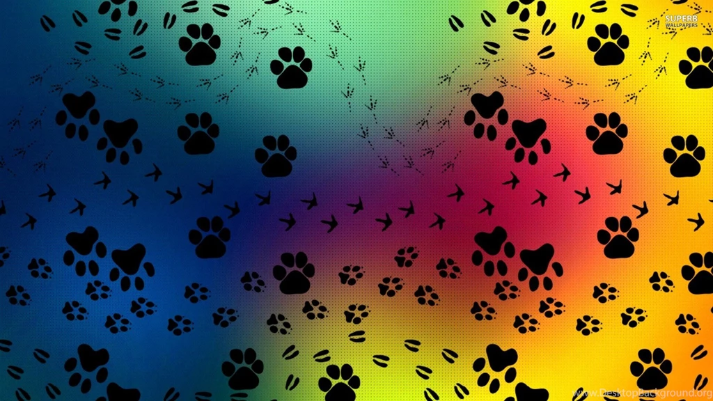Paw print pattern 26871 1920x1080   Walkabout Pet Care Sunshine ...