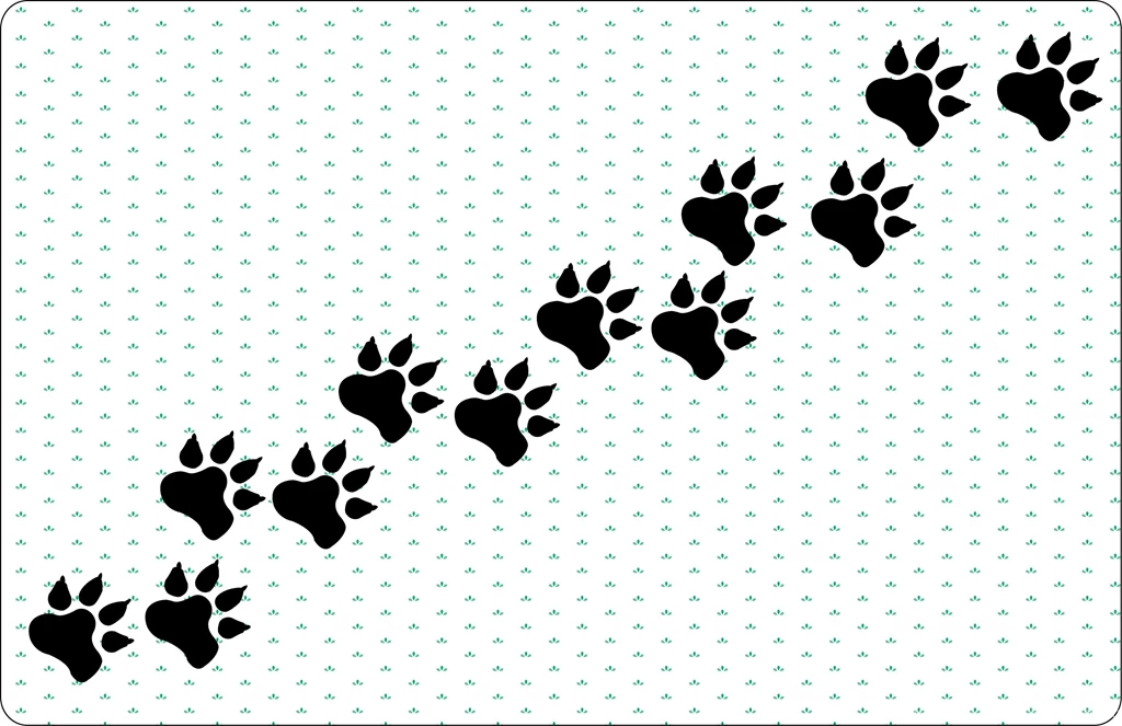Dog Paw Print Images   HD Wallpapers Lovely