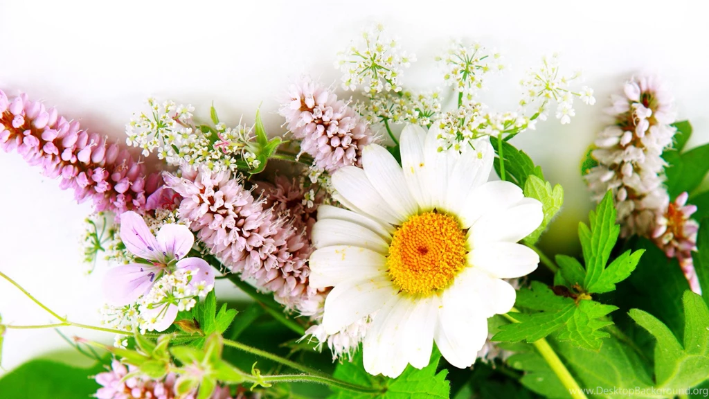Beautiful Wallpapers Of Colour Hd (59)
