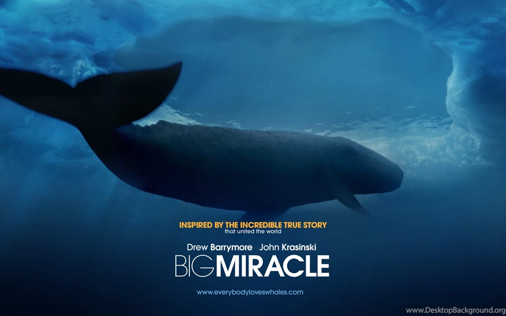 Big Miracle Movie Wallpapers