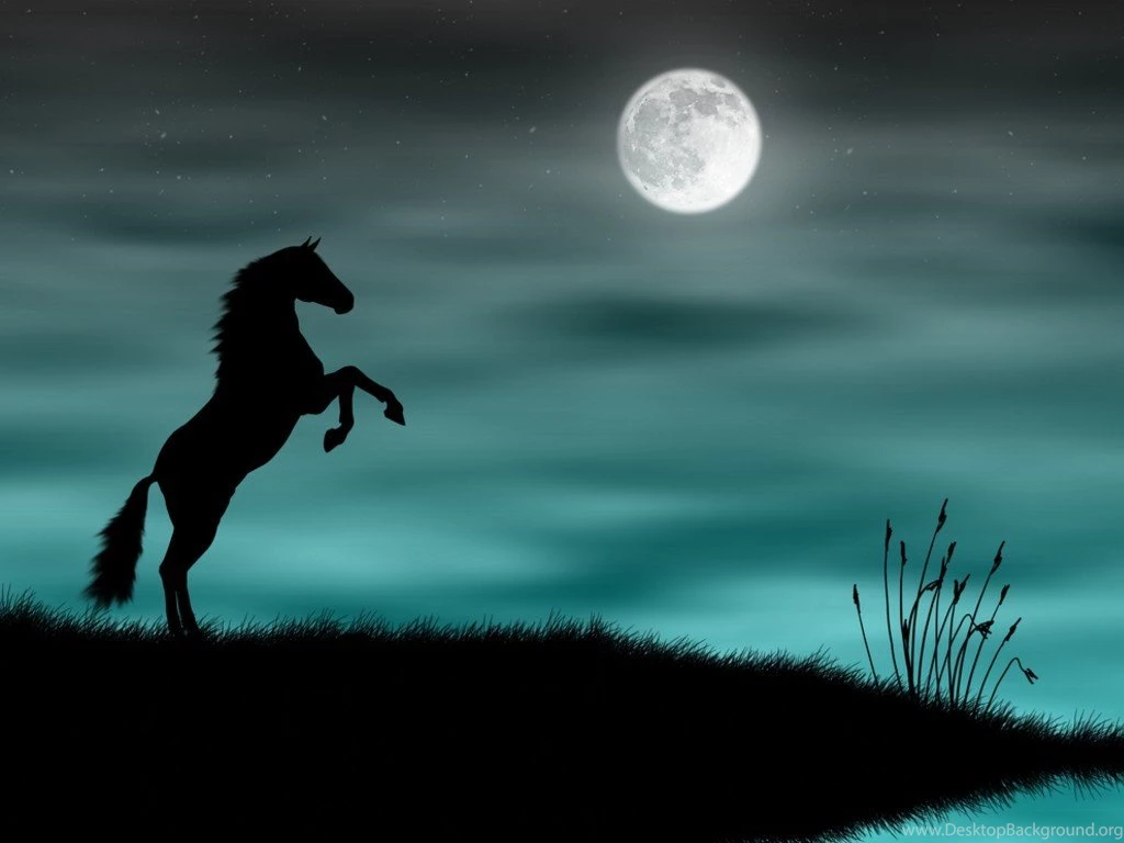 Black Horse Mobile Wallpapers 2353 Amazing Wallpaperz