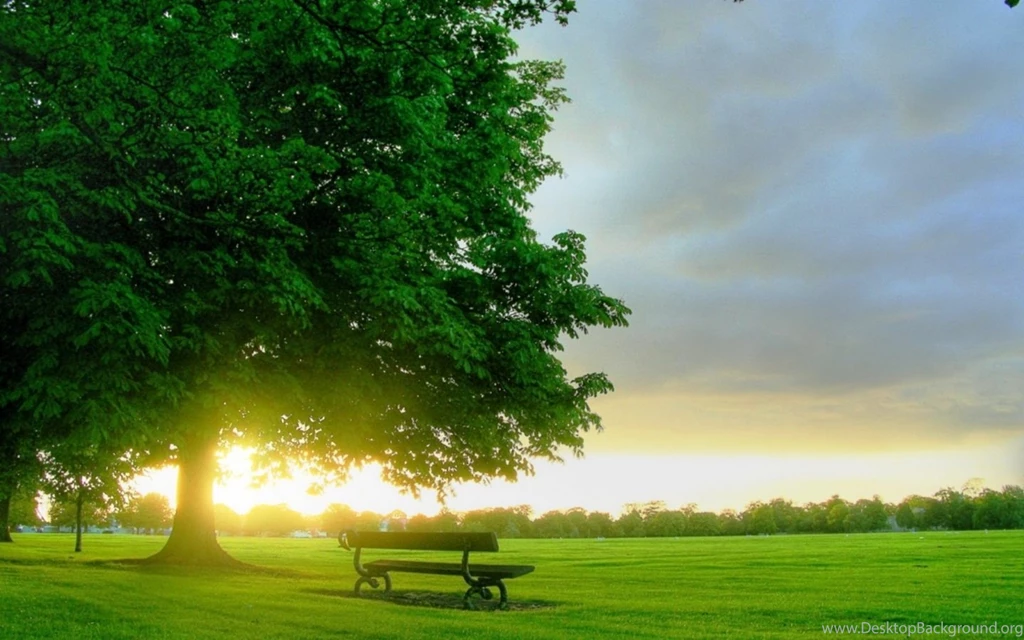 Best Good Morning Wallpapers Free Download ~ Toptenpack.com