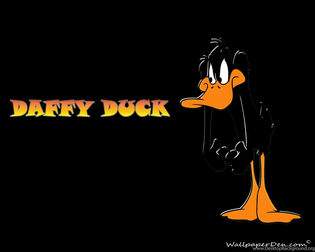 Daffy Duck Computer Wallpapers, Desktop Backgrounds