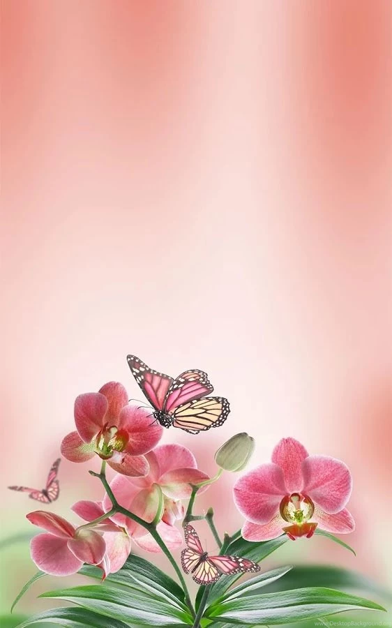 Android Live Wallpapers Butterfly Live Wallpapers