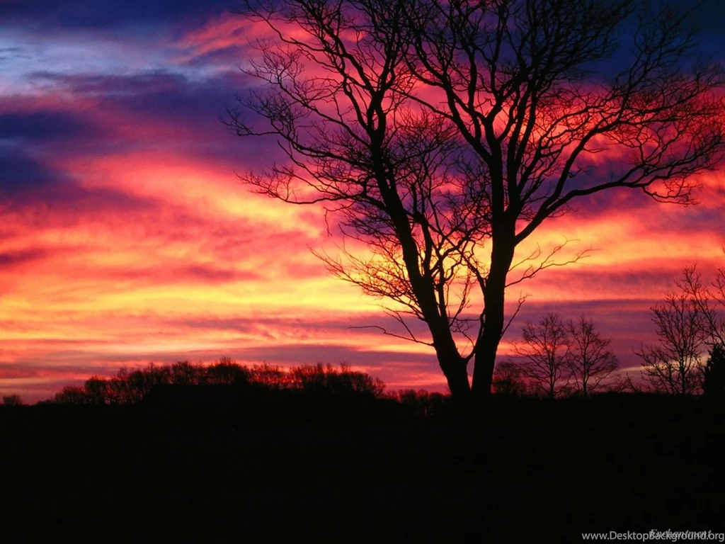 Sunset Wallpapers From Dark Wallpapers