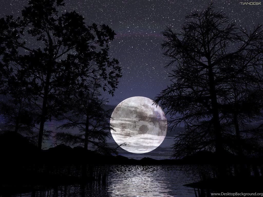Full Moon Night Beach Wallpaper.
