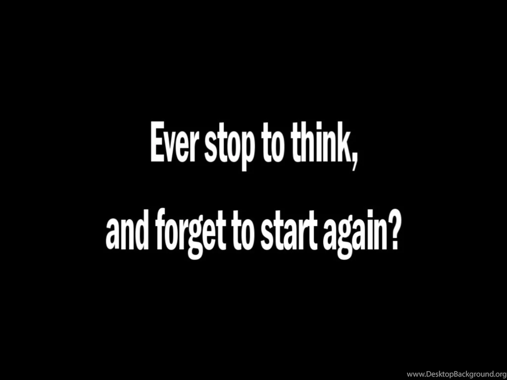 World's Funniest Wallpapers