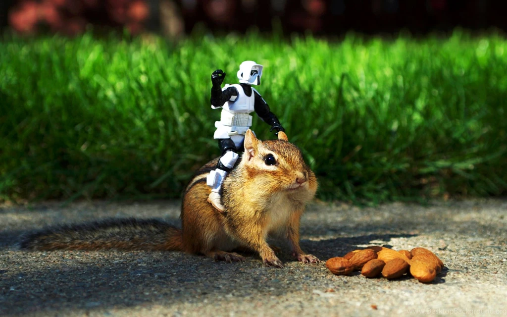 Chipmunks Funny HD WallpapersHD Wallpapertec