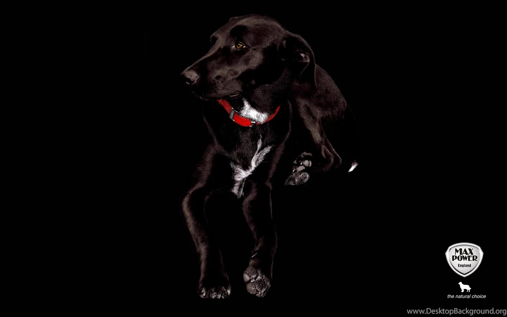 Black Background Images   Page 3