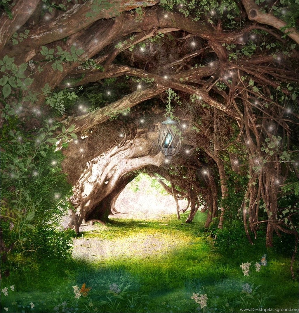 Enchanted Forest Backgrounds Wallpapers Cave