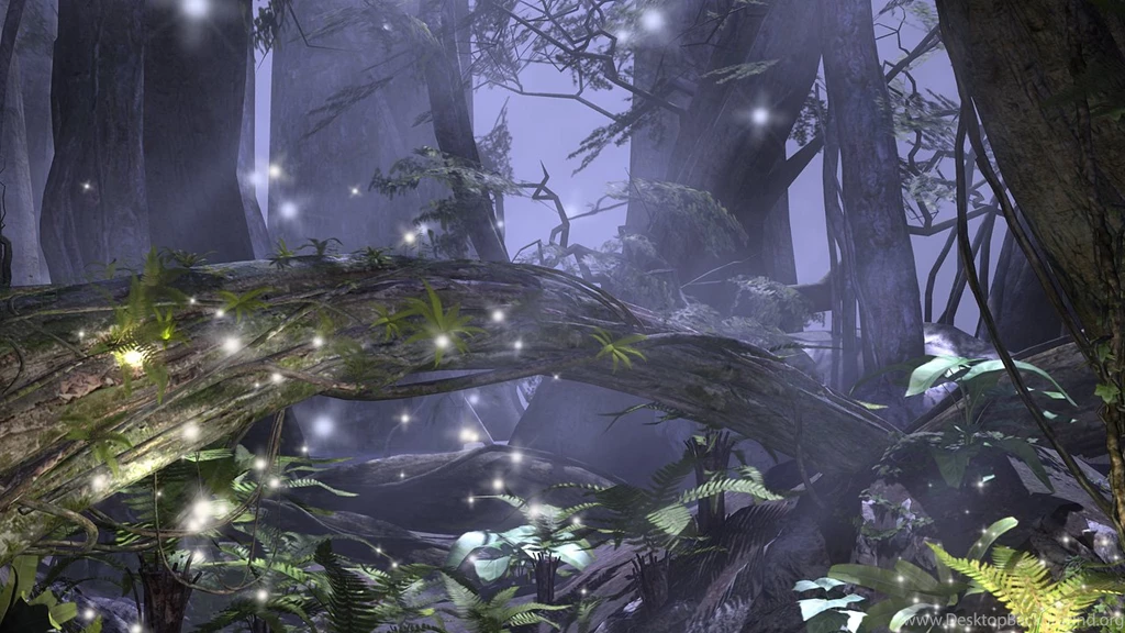 ENCHANTED FOREST Wallpapers