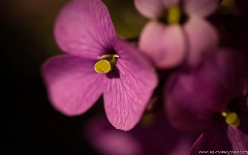 Free Download Wallpapers HD : May 2015