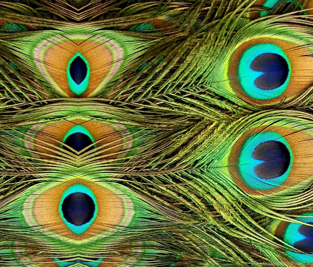 Barnes And Noble Nook Color Skins Vinyl Nature Designs