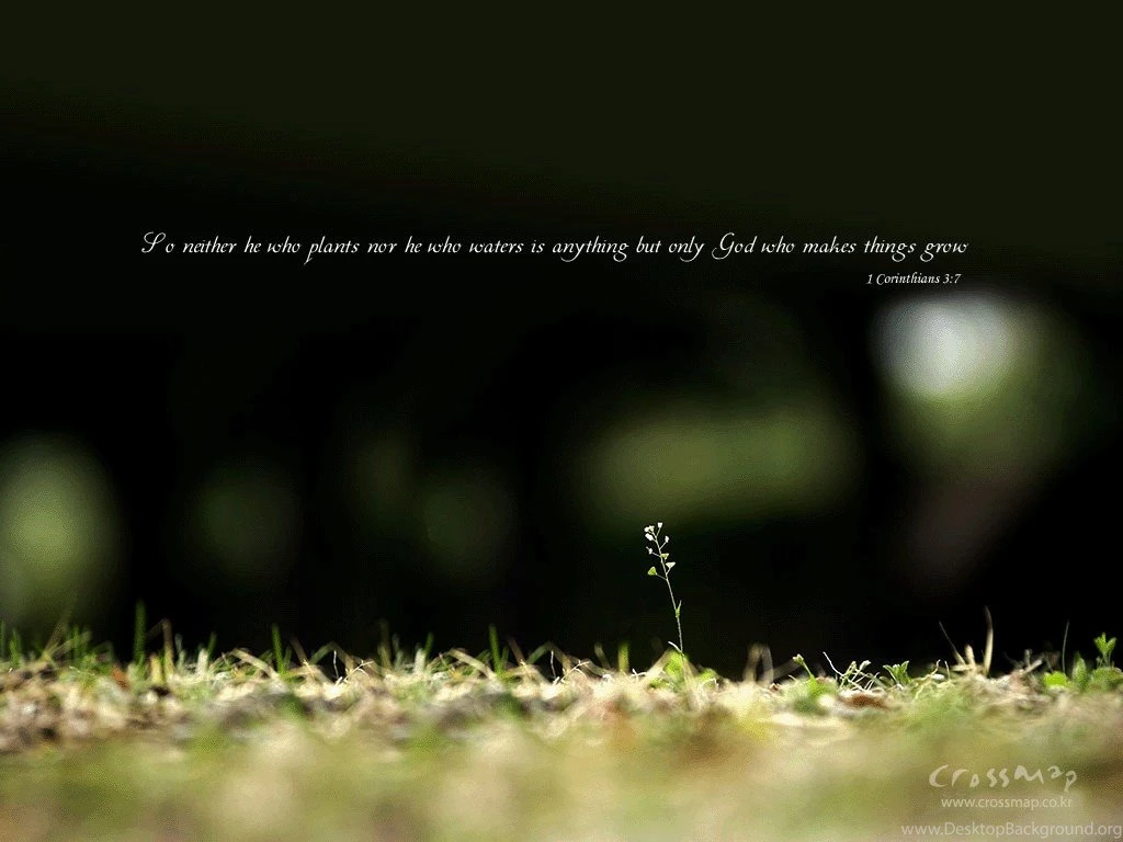 1 Corinthians 3:7   God Makes Things Grow Wallpapers   Christian ...
