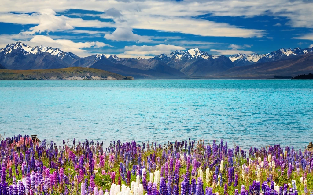 New Zealand Lake Tekapo 4K Ultra HD Wallpapers