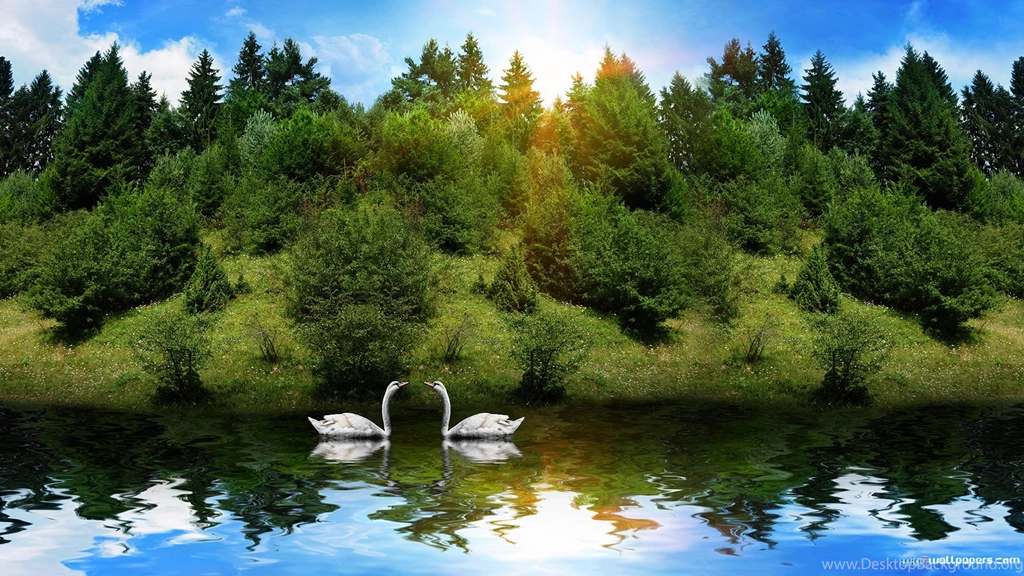 Hd Nature Wallpapers PC