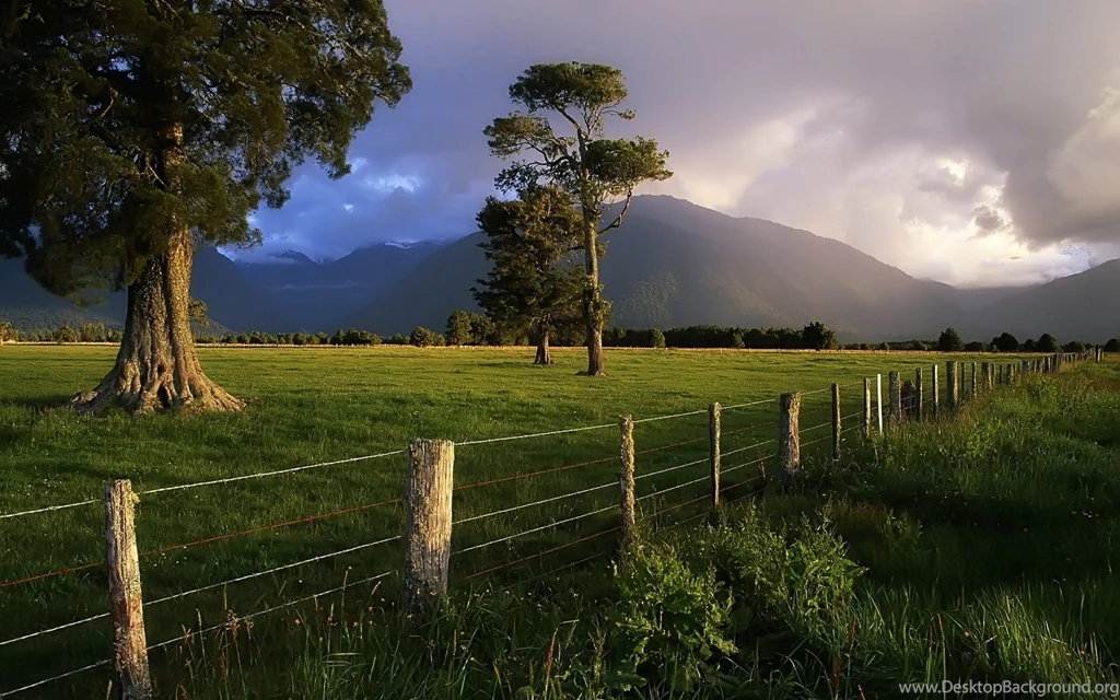New Zealand