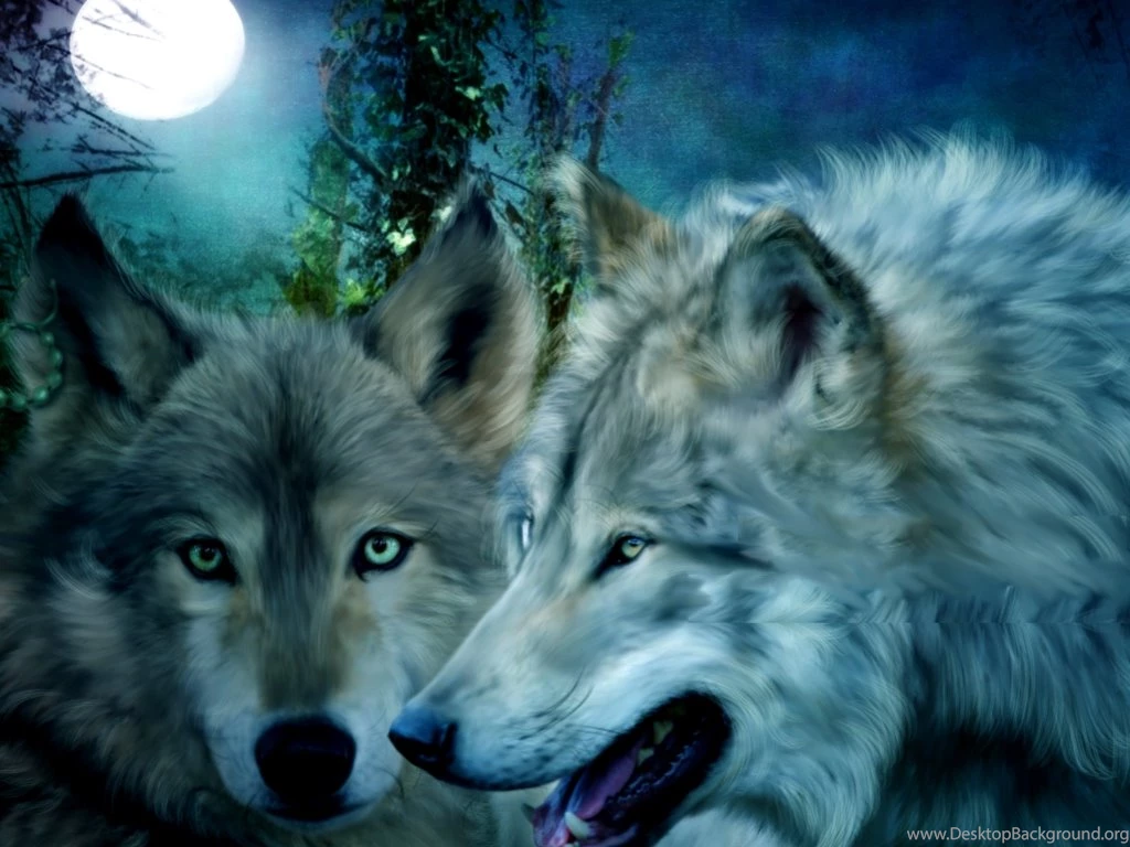 Wolf Wallpapers Yorkshire_rose Wallpapers (30359260) Fanpop