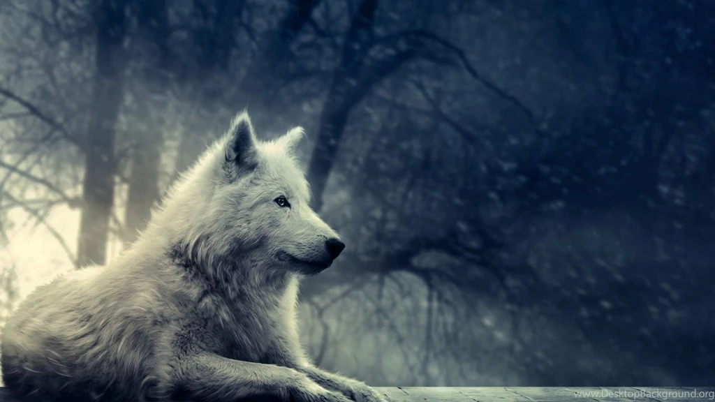 Full HD Wolf Wallpapers And Backgrounds Dat Nature
