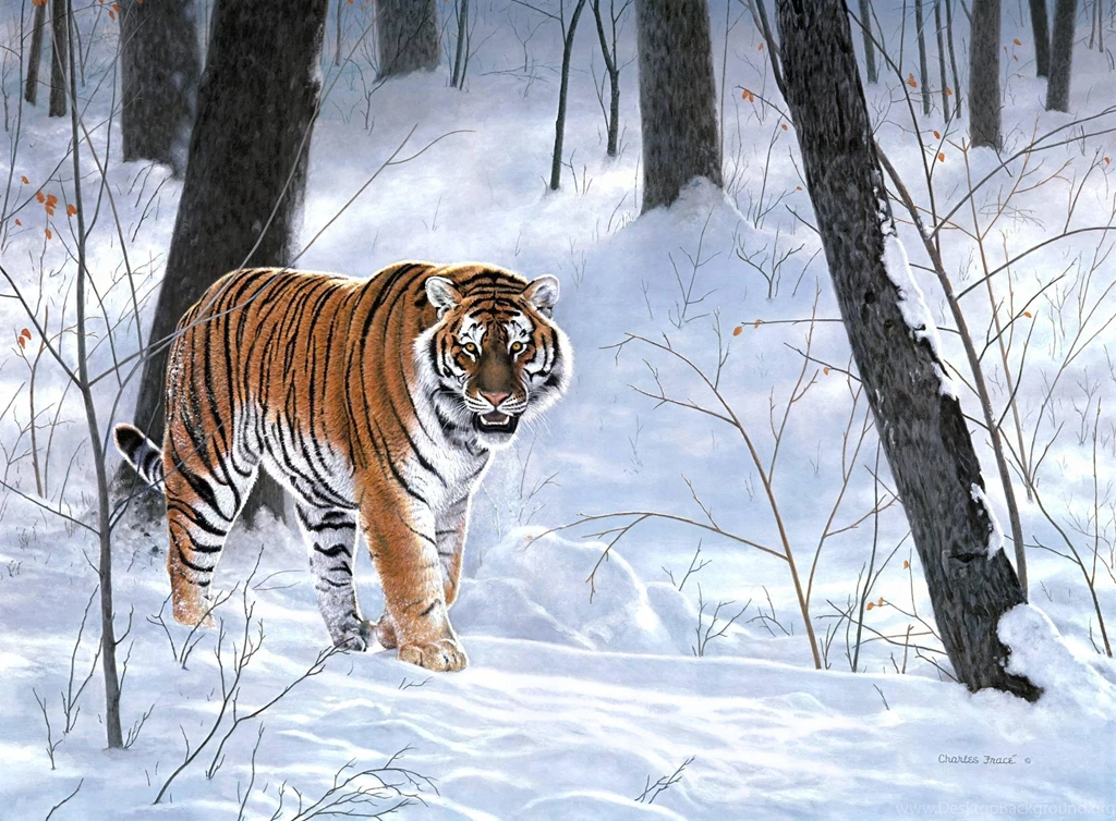 Charles Frace Wallpapers Emperor Of Siberia Painting Forest